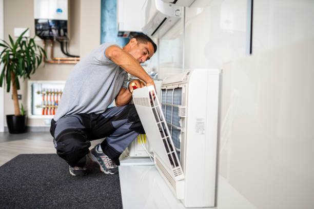Best Local Air Duct Cleaning Services  in Vaeboro, NC
