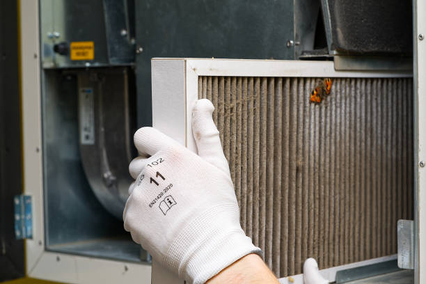 Best HVAC System Cleaning  in Vaeboro, NC