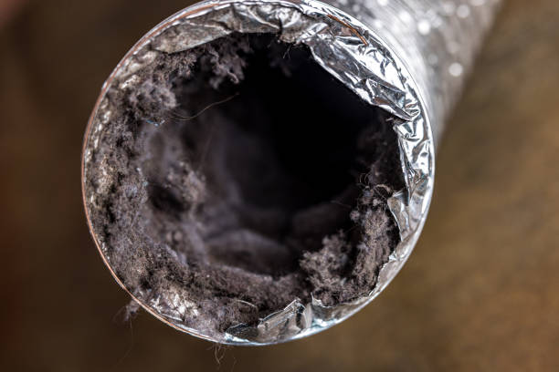 Best Professional Duct Cleaning Services  in Vaeboro, NC