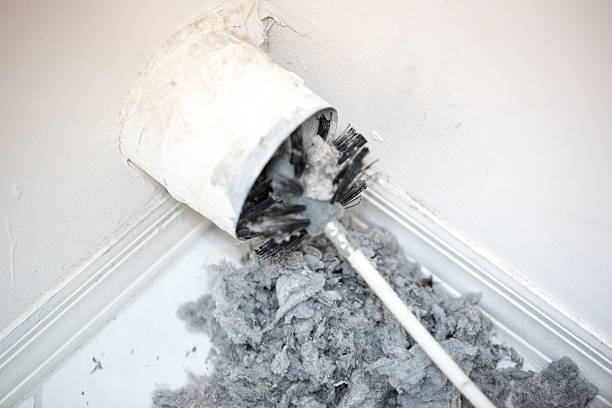 Best Emergency Air Duct Cleaning  in Vaeboro, NC