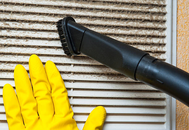 Best Residential Air Duct Cleaning  in Vaeboro, NC