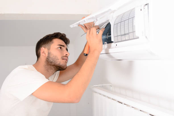 Best Home Air Vent Cleaning  in Vaeboro, NC